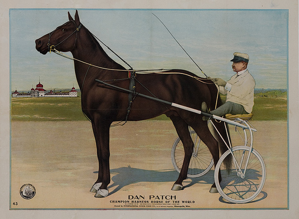 Dan Patch Harness Horse Clip