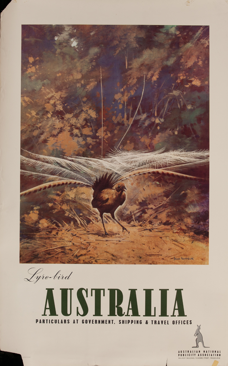 Australia Lyre-Bird, Australian National Publicity Association Poster