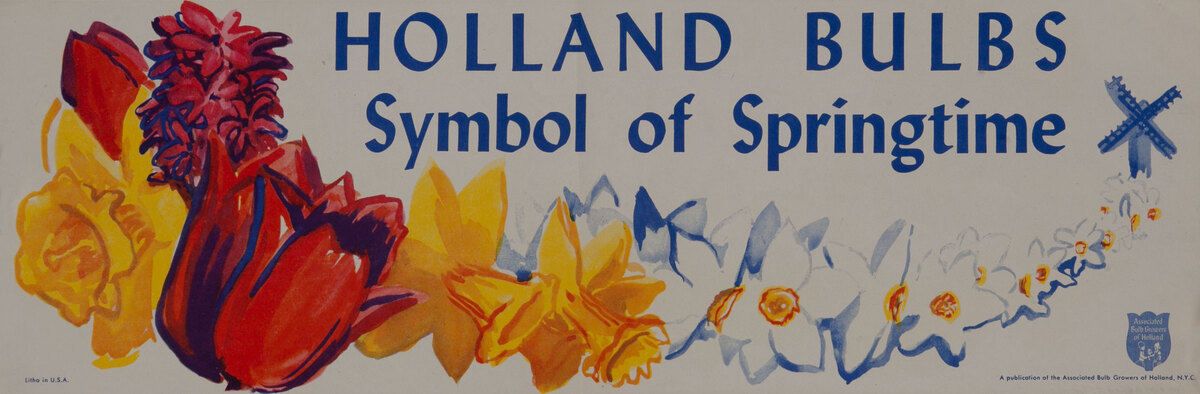 Holland Bulbs Symbol of Springtime - Flower Poster