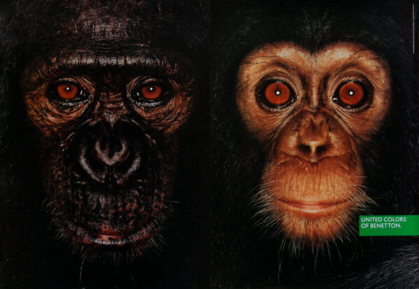 United Colors of Benetton Advertising Poster Chimps | David Pollack ...