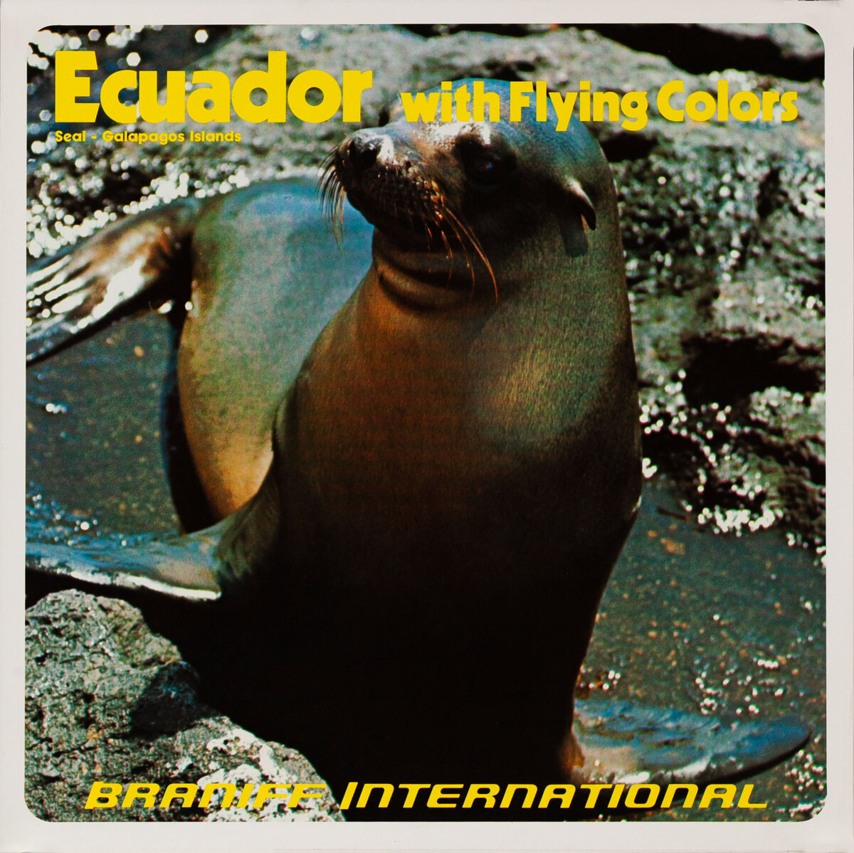 Braniff International - Ecuador Seal Galapagos Islands