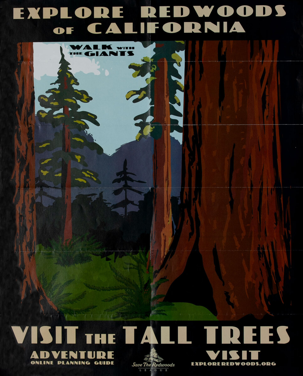Explore Redwoods of California - Visit the Tall Trees