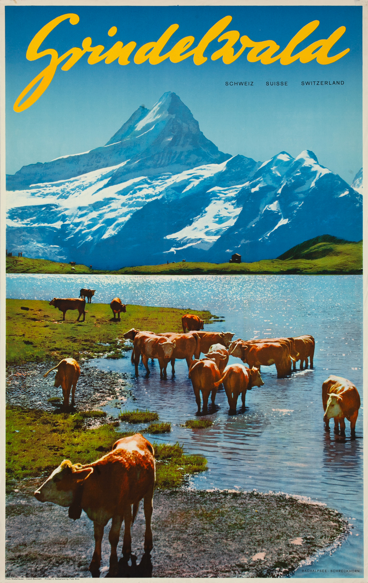 Grindelwald Switzerland Original Travel Poster 