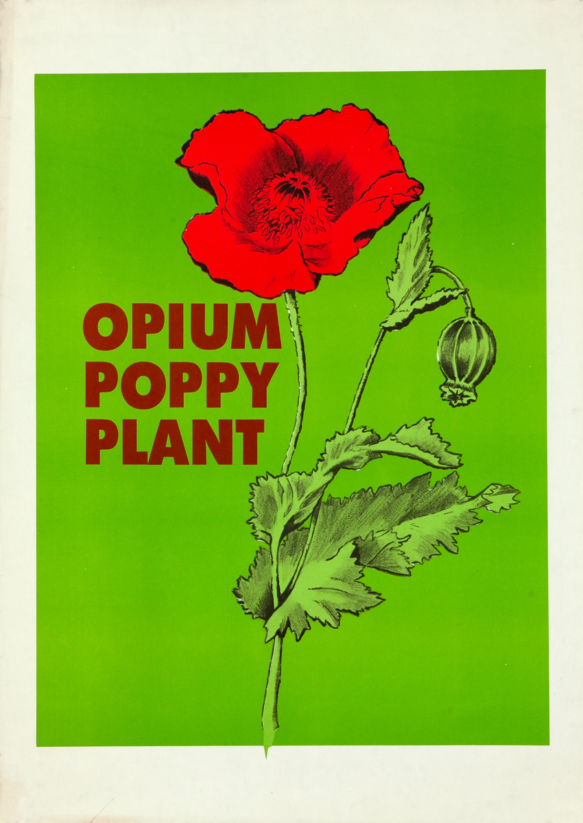 Opium Poppy Plant Original Anti Drug Abuse Poster