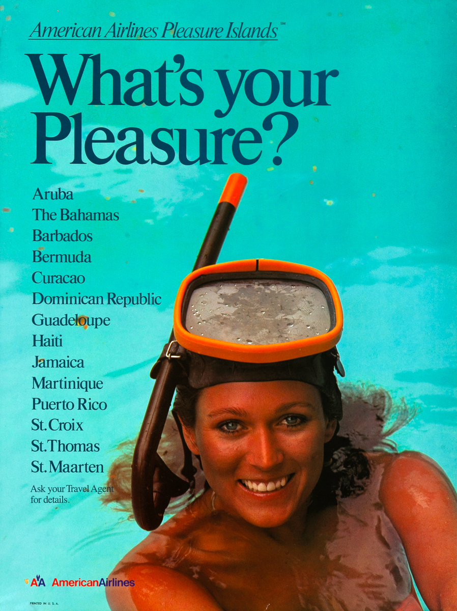 What's Your Pleasure? Original American Airlines Travel Poster