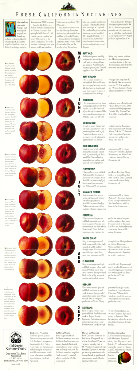 Fresh California Nectarines Original Fruit Marketing Poster