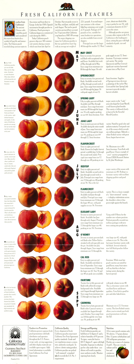 Fresh California Peaches Original Fruit Marketing Poster