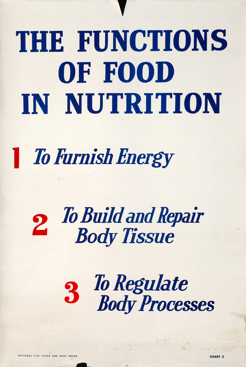 The Functions of Food in Nutrition Original WWII Homefront Nutrition Poster