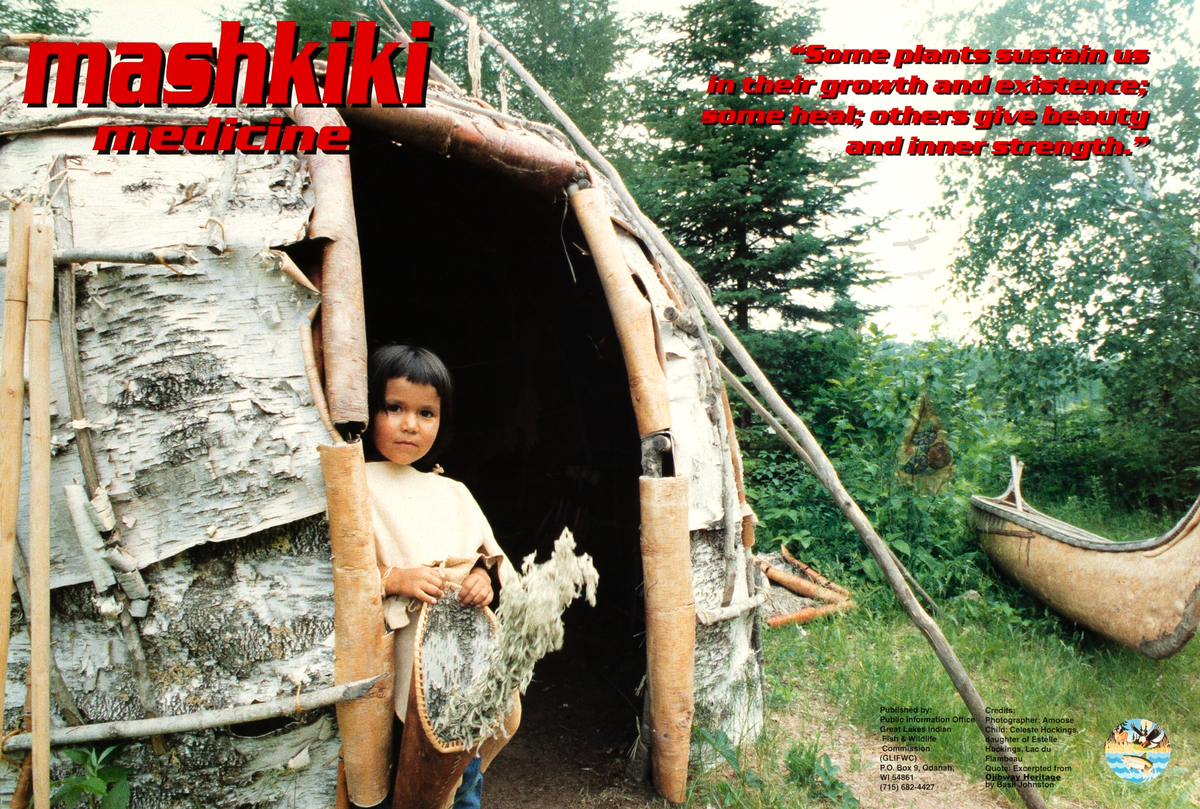 Mashkiki Medicine Original Great Lakes Indian Fish and Wildlife Commission Poster