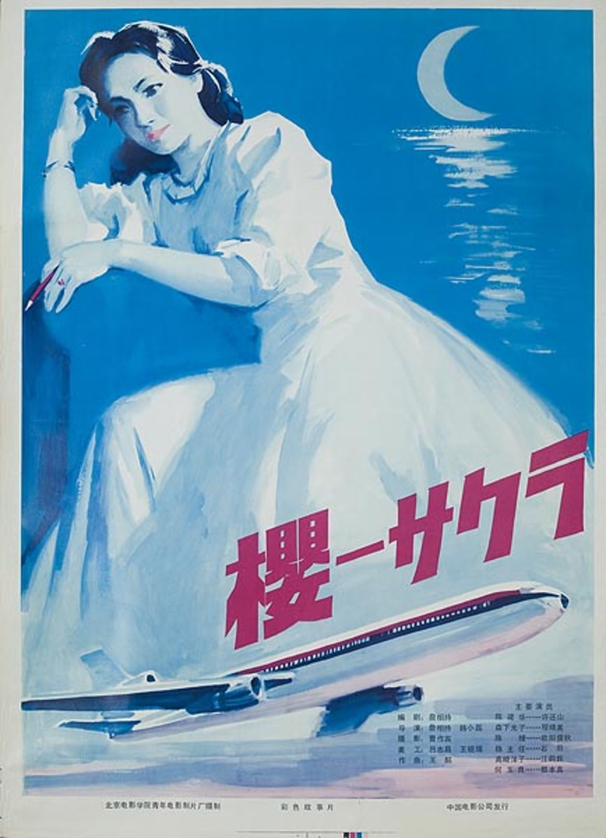 Airplane Horror Original Chinese Movie Poster
