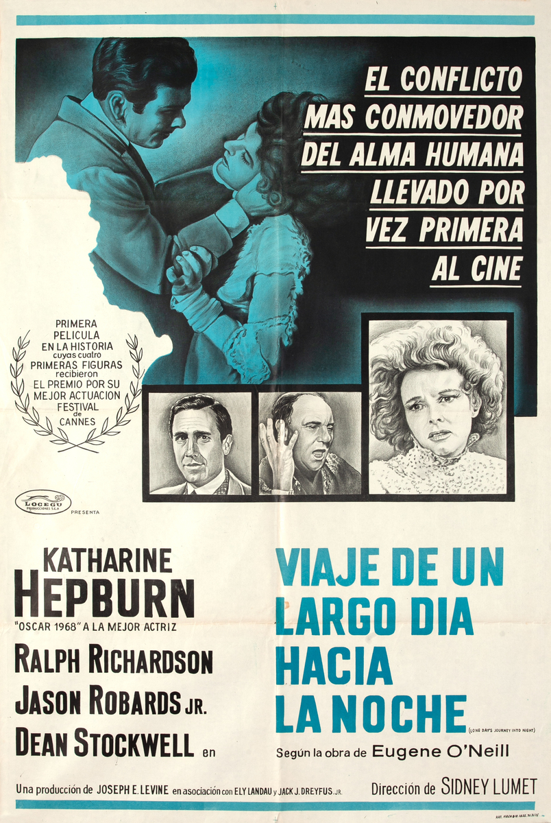 Long Day's Journey Into Night Argentinian Movie Poster