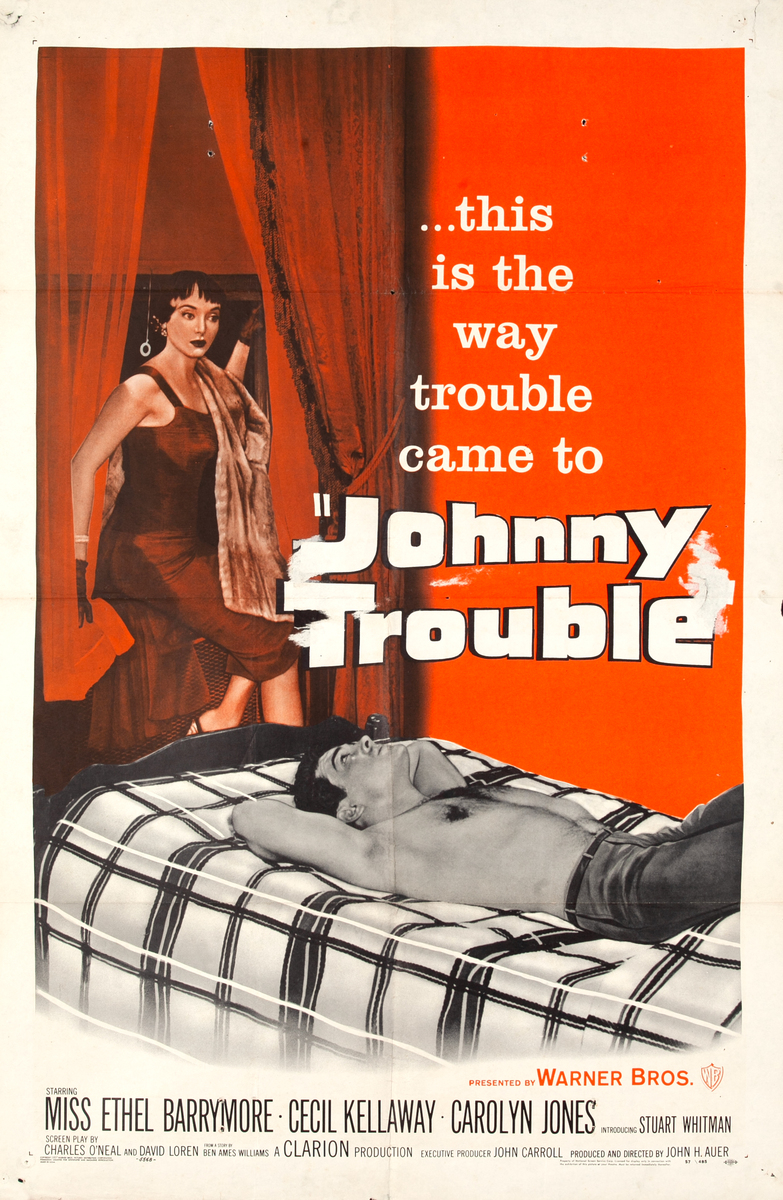 Johnny Trouble, 1 Sheet Movie Poster 