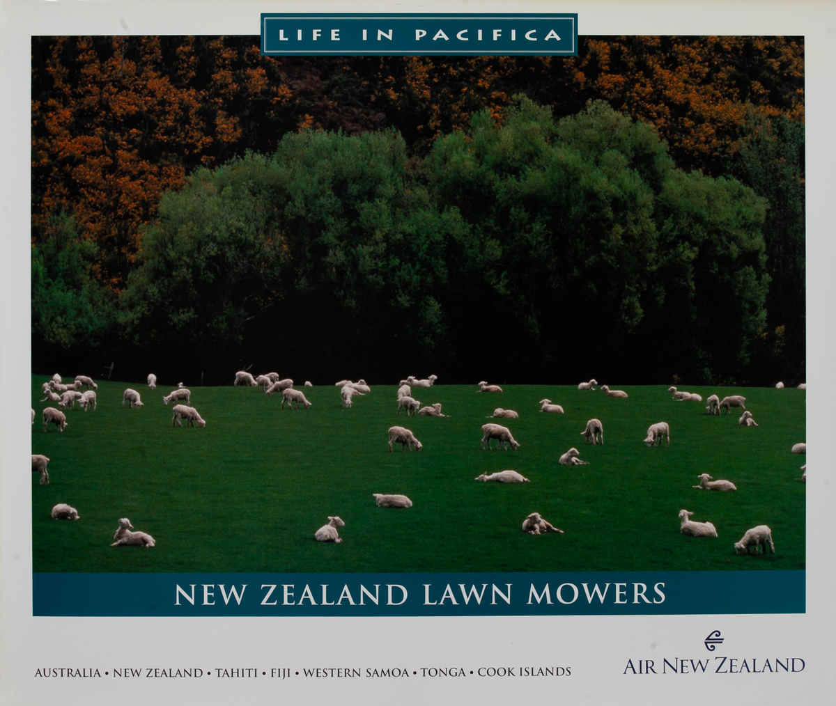 Air New Zealand Life in Pacifica New Zealand Lawn Mowers
