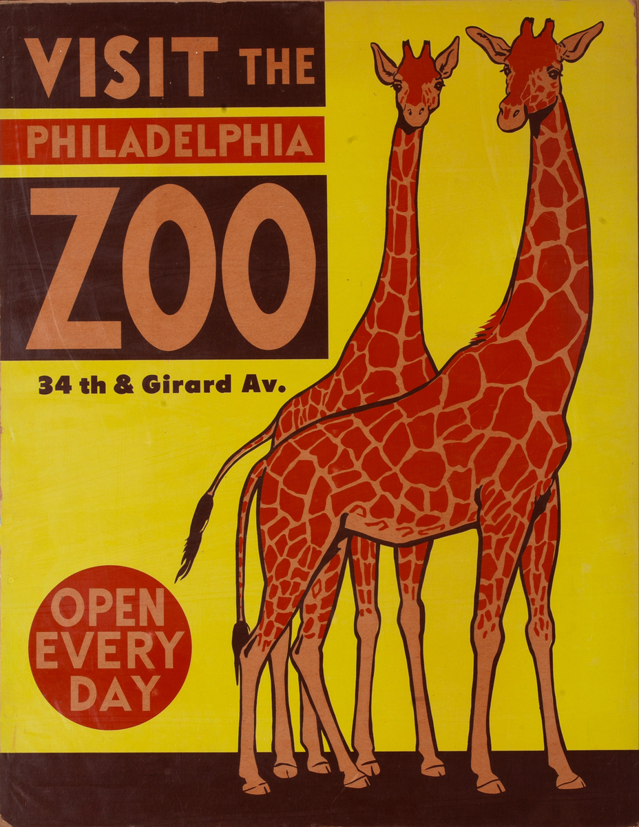 Visit the Philadelphia Zoo 34th and Girard Ave -Open Every Day Philadelphia Zoo Advertising Poster Giraffes