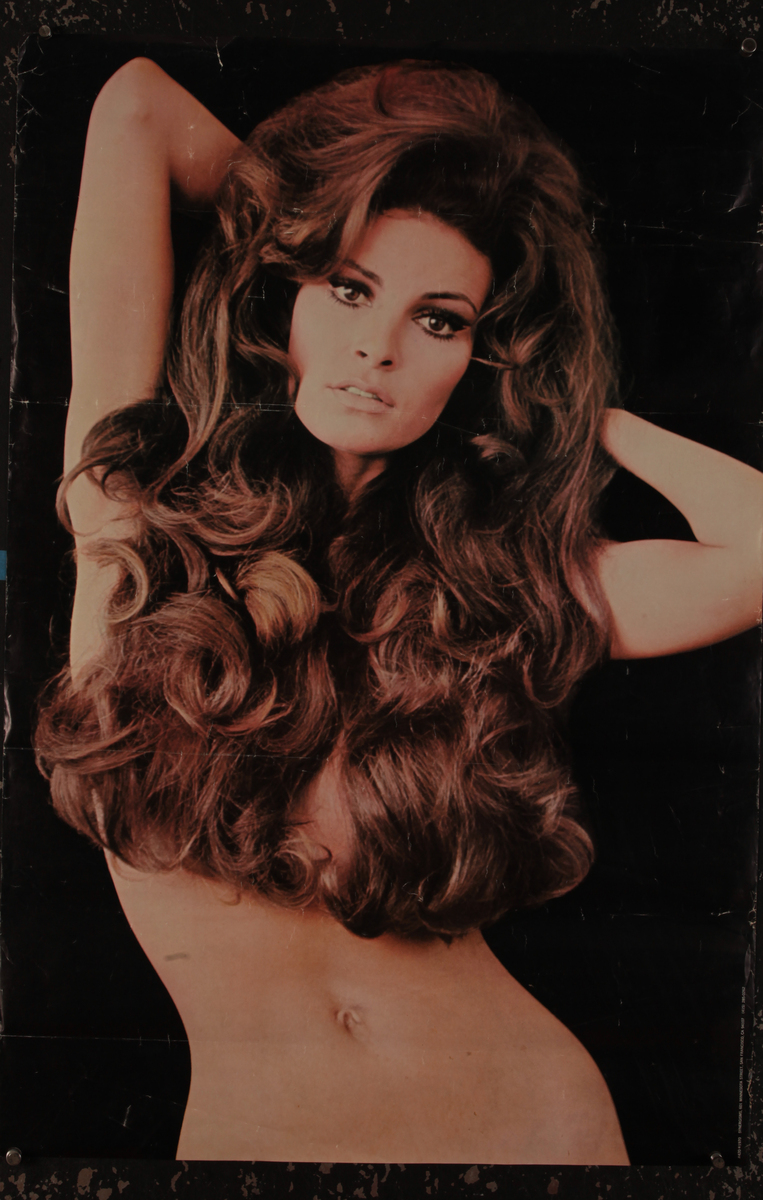 Raquel Welch Pinup Poster 