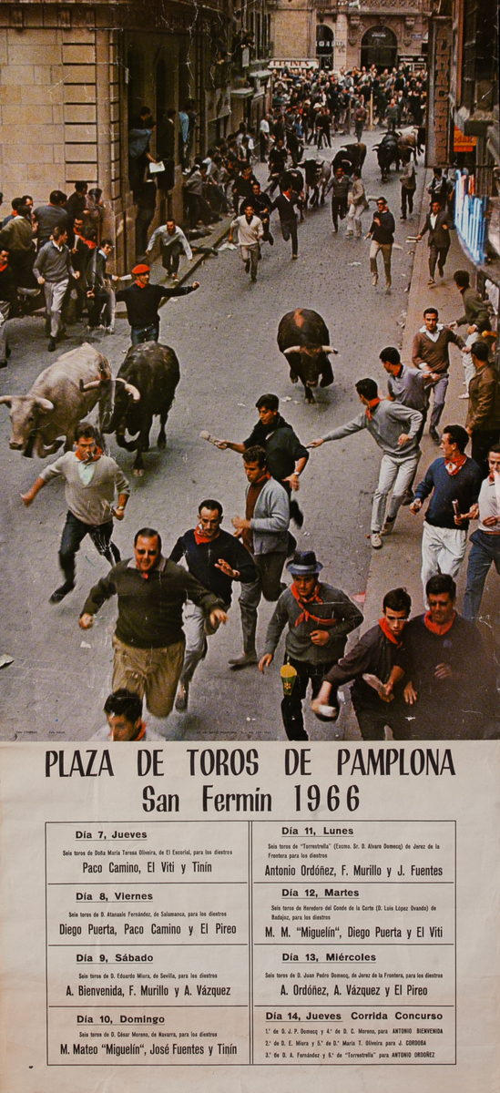 Plaza de Toros de Pamplona Travel Poster 