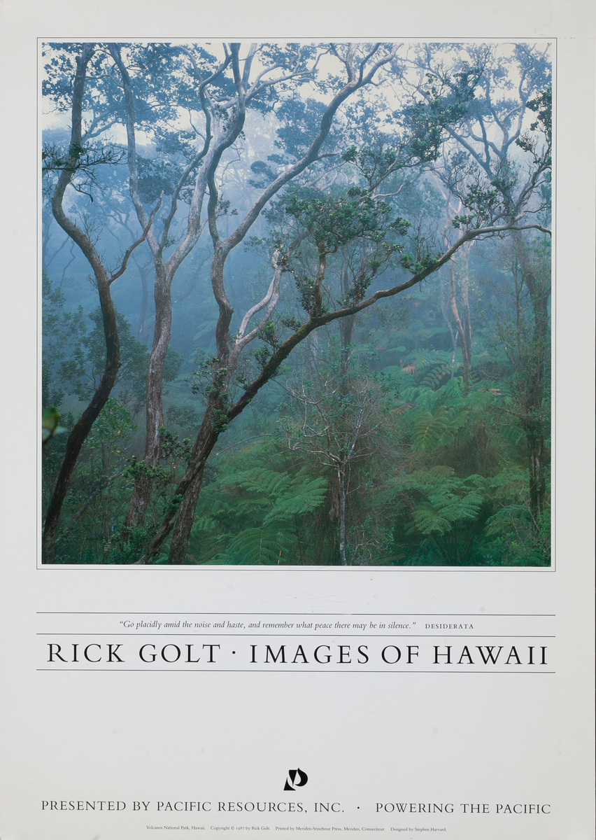 Rick Golt Hawaii Art Exhibit Poster