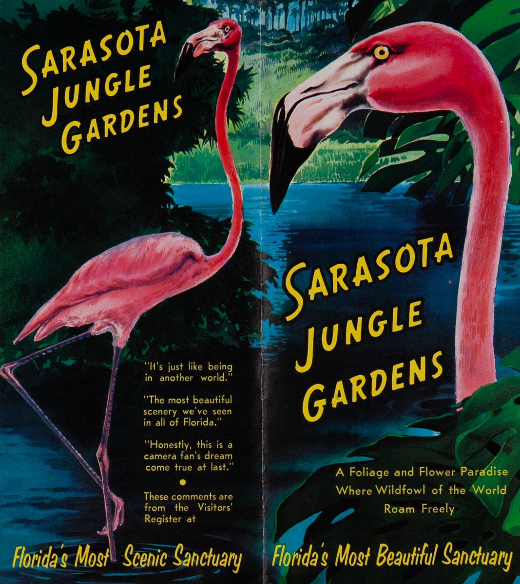Sarasota Jungle Gardens Florida’s Most Beautiful Sanctuary. Travel Brochure