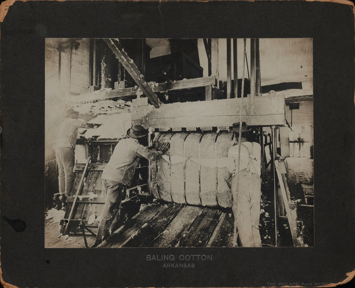 Bailing Cotton Arkansas Photo