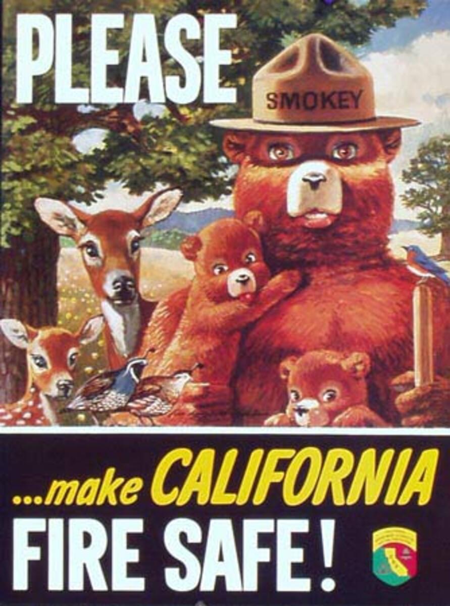 Please Make California Fire Safe Original Vintage Smokey Fire Prevention Poster
