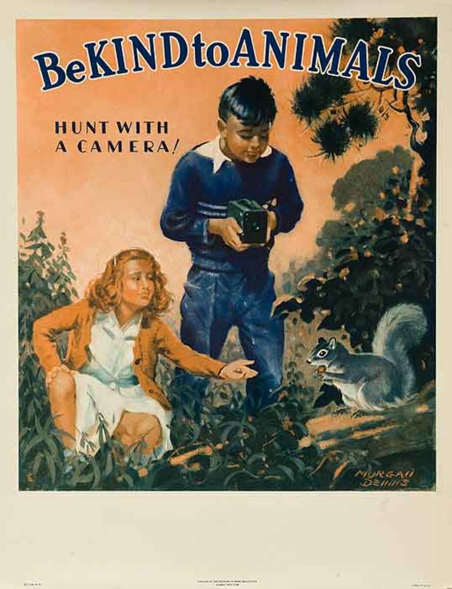 Be Kind To Animals Original American Animal Rights Poster Hunt With A  Camera | David Pollack Vintage Posters