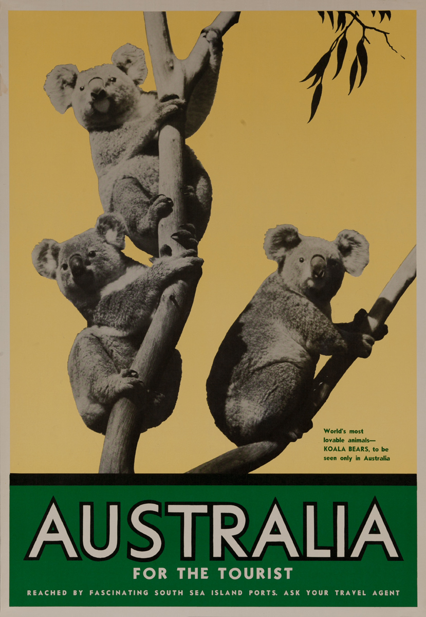 Australia New Zealand Koala Bear by Air Vintage Travel Advertisement Art Poster 