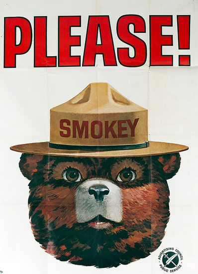 DP Vintage Posters - Smokey PLEASE! Original Ad Council Public Service ...